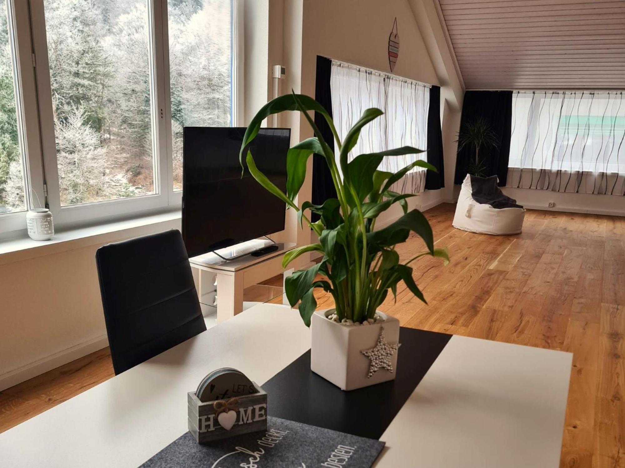 Muota River Loft & Muota Industry Apartment Near Stoos Muotathal Exterior foto